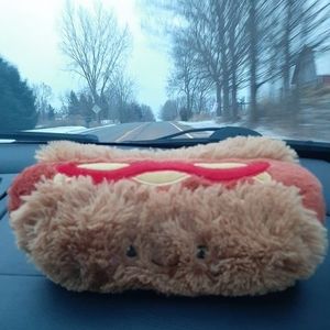 Meet your Posher, Katie